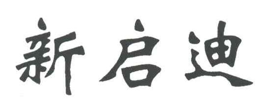 新启迪