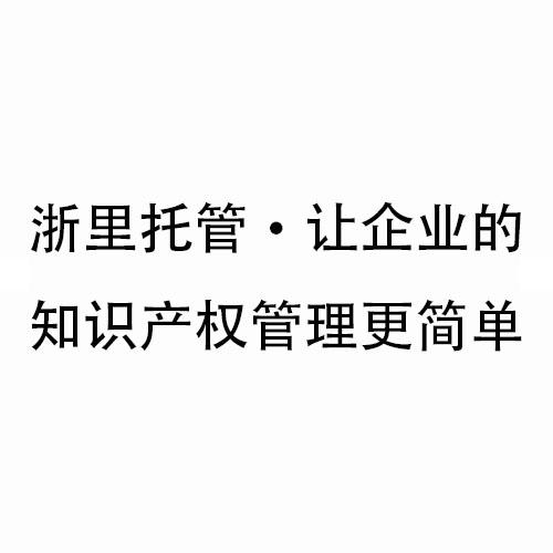 浙里托管&middot;让企业的知识产权管理更简单