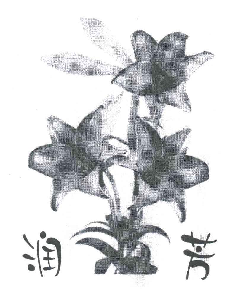 润芳