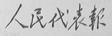 人民代表报