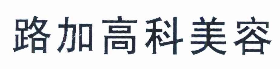 路加高科美容
