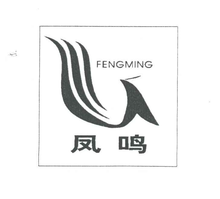 凤鸣;FENG MING