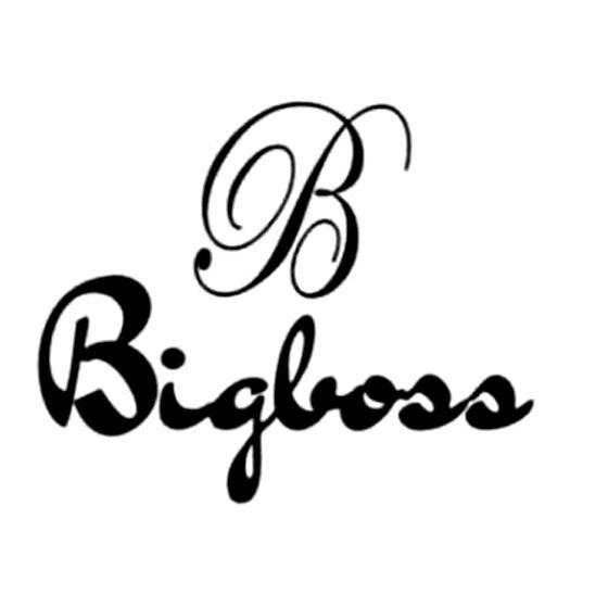 B BIGBOSS