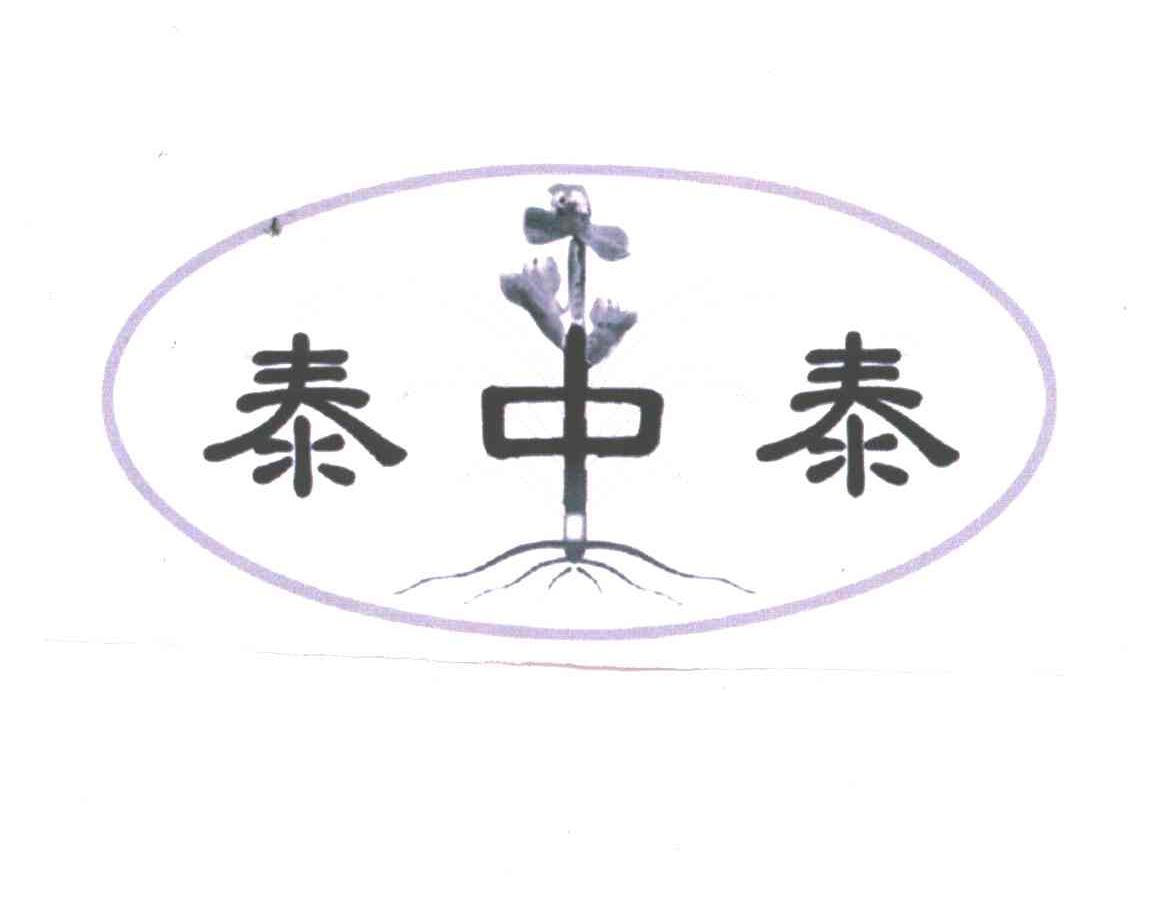 泰中泰
