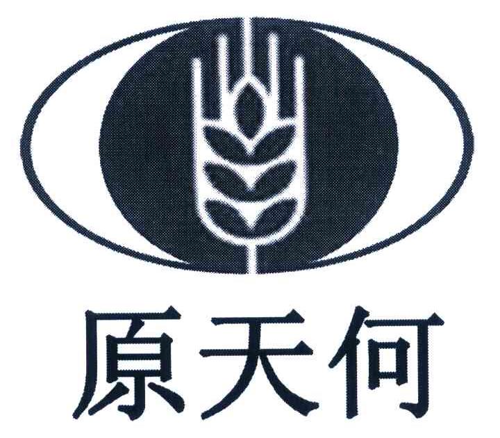原天何