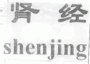 肾经