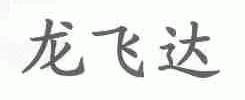 龙飞达