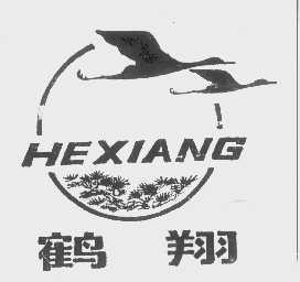 鹤翔