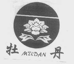 牡丹