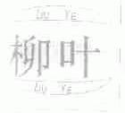 柳叶