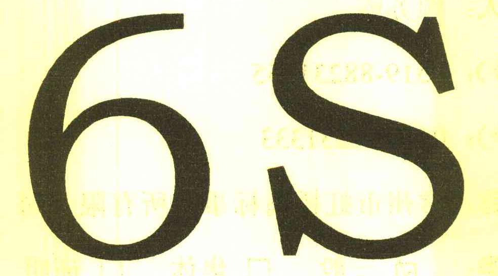 6 S