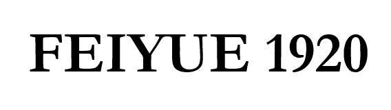 FEIYUE 1920