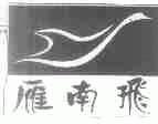 雁南飞