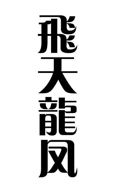 飞天龙风