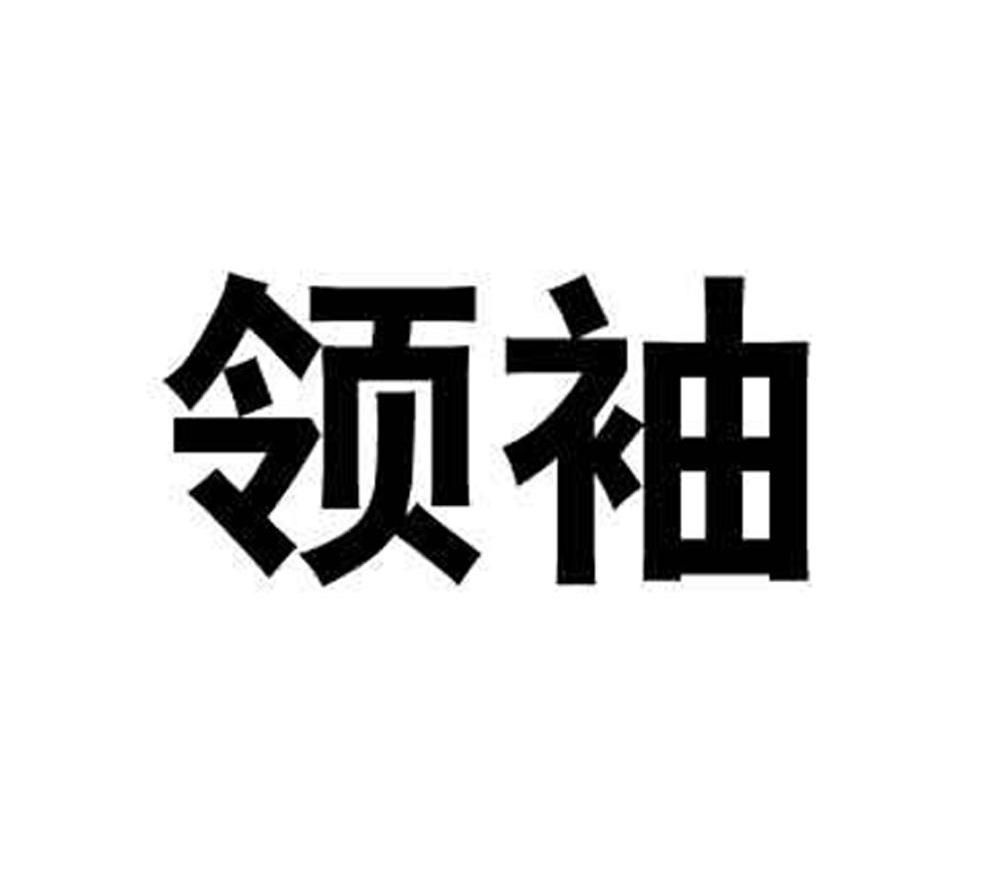领袖