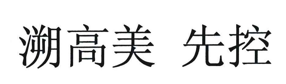 溯高美先控