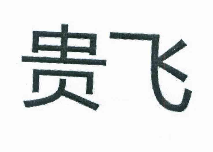 贵飞