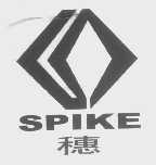 穗   SPIKE