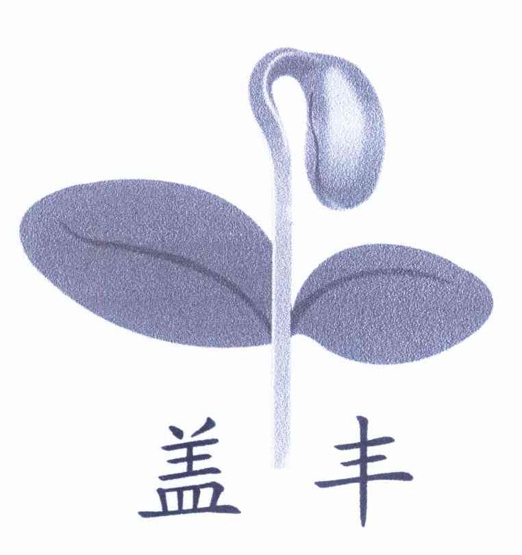 盖丰