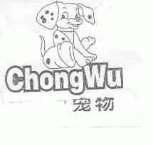宠物