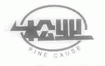 松业;PINE CAUSE