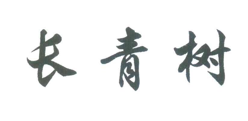 长青树