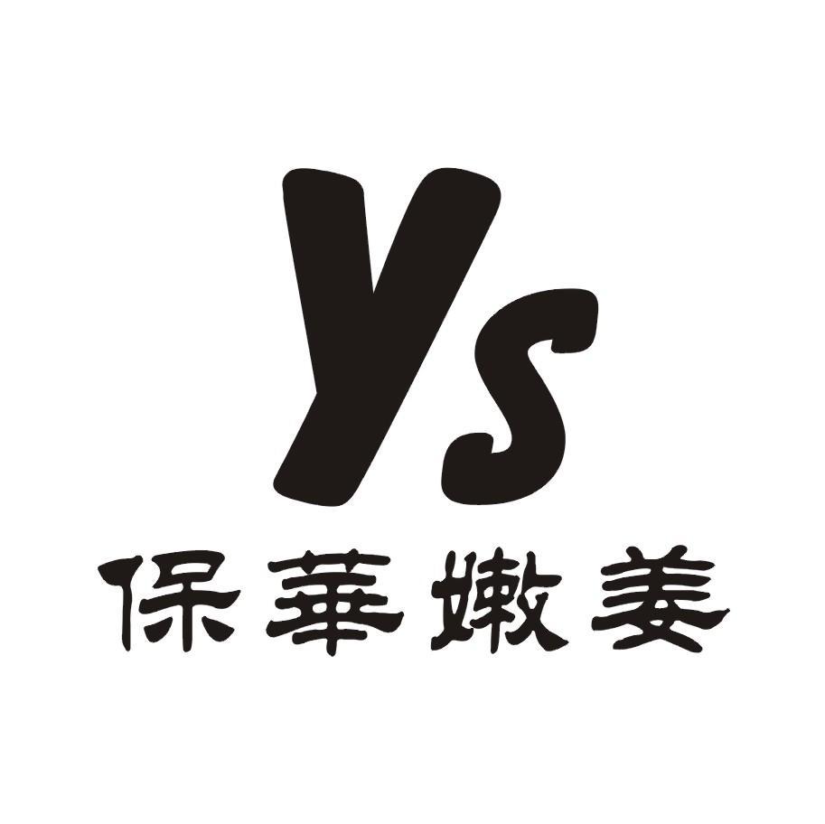 保华嫩姜 YS