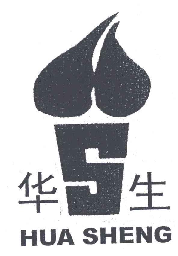 S;华生