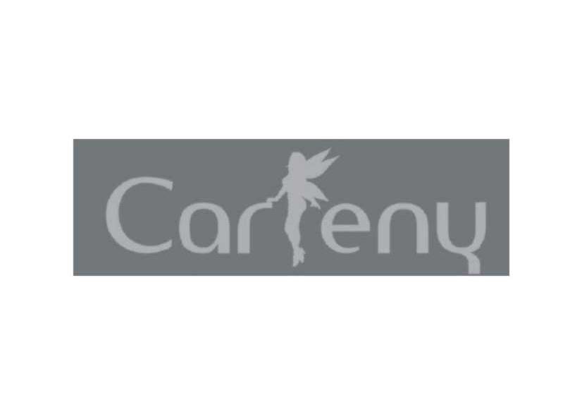 CARFENY
