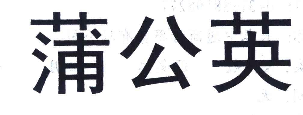 蒲公英