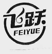 飞跃