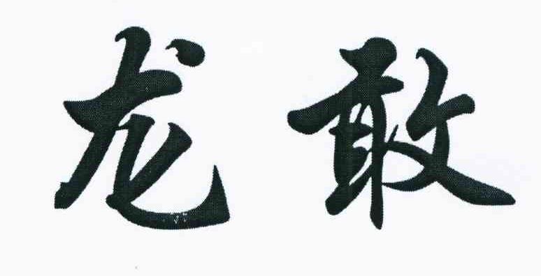 龙敢