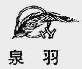 泉羽