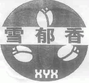 雪郁香;XYX