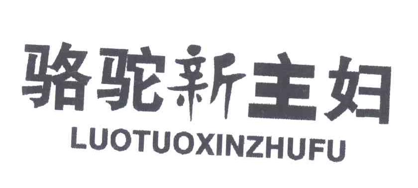 骆驼新主妇