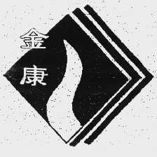 金康