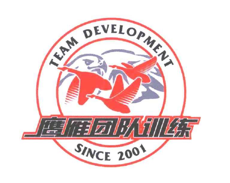 鹰雁团队