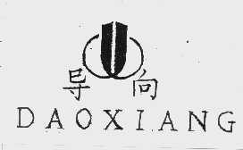 导向