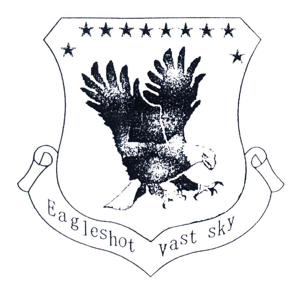 EAGLESHOT VAST SKY
