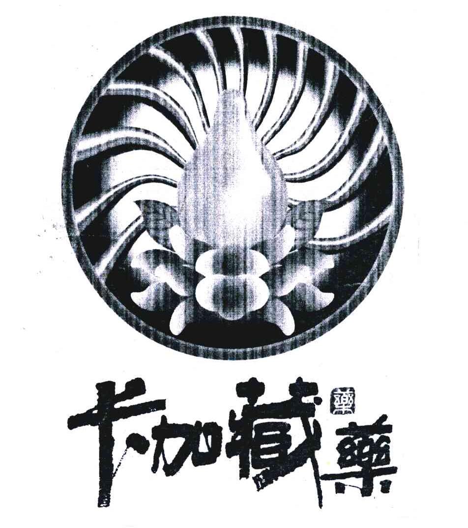 卡加藏药;药