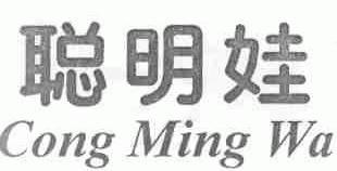 聪明娃