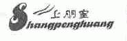 上朋皇