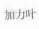 加力叶