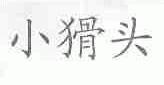 小猾头