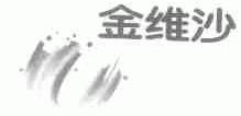 金维沙