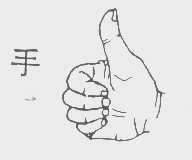 手