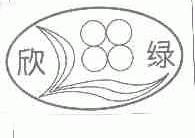 欣绿