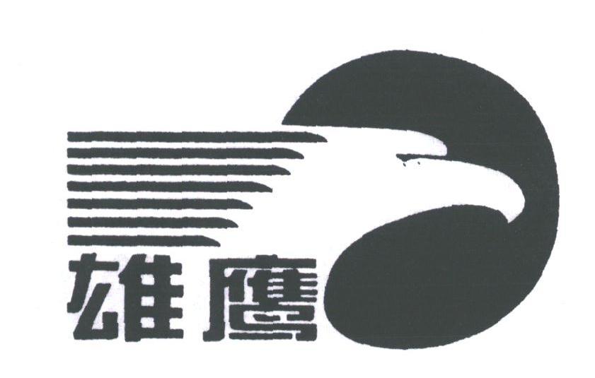 雄鹰