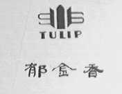 郁金香    TULIP