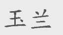 玉兰